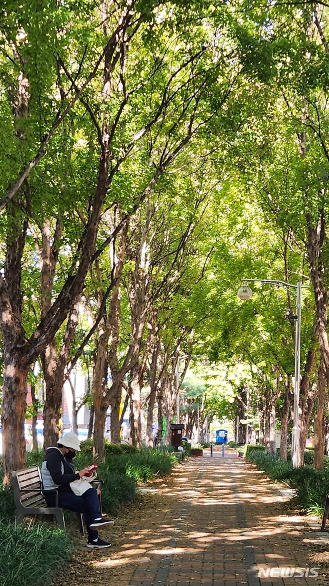 [수원=뉴시스]옛 수인선 철길을 따라 곧게 뻗은 수인선 세류공원.