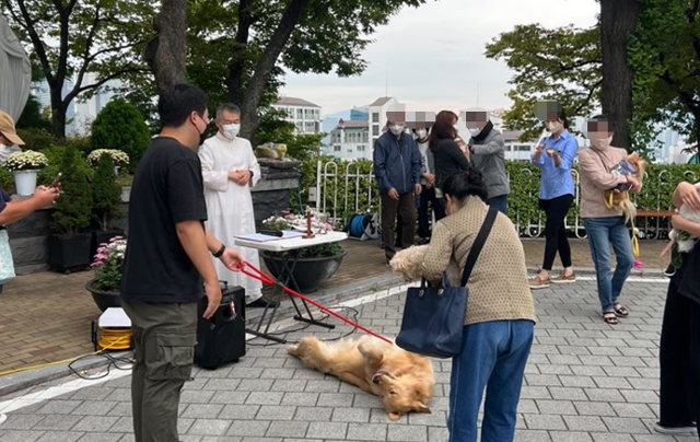 2일 서울 용산구 용산성당에서 열린 반려동물 축복식 장면. 참가자들이 윤성호 주임신부 앞에 드러누운 반려견 '딩요'를 바라보고 있다. 고은경 기자