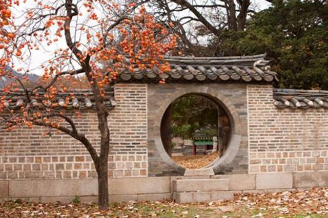 ▲창덕궁의 가을3Ⓒ문화재청