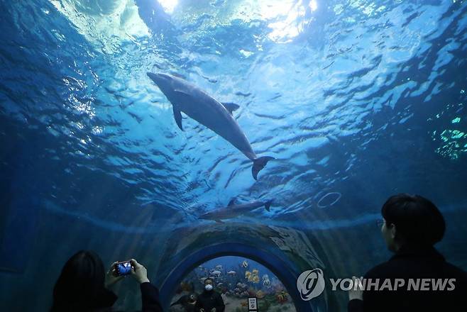 고래생태체험관 [연합뉴스 자료사진]