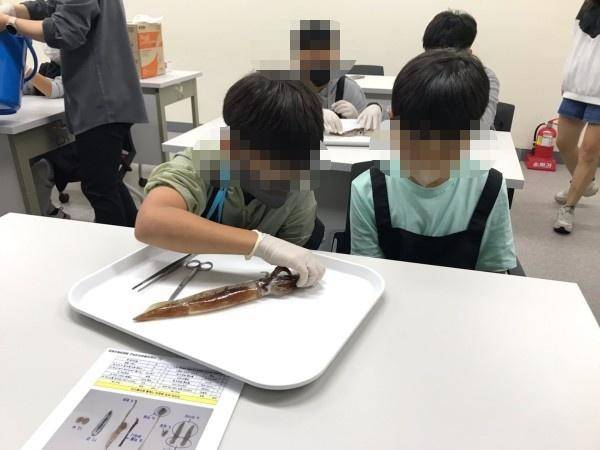 초등학교 학생들이 한 국립대 해양과학교육원 해부실습 프로그램에 참석해 오징어를 해부하고 있다. 온라인 캡처