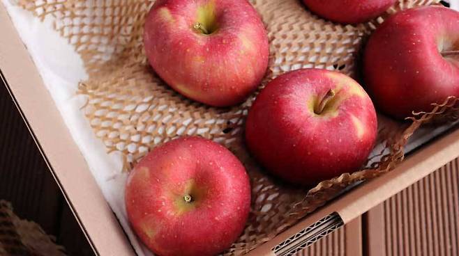 꼭지를 자르지 않은 사과를 친환경 포장재에 담아 배송한다