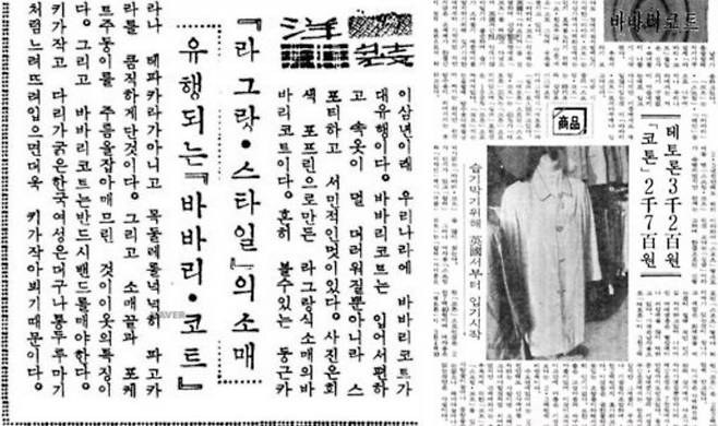‘바바리’를 소개한 1960년대 신문기사들. 1960년 9월 29일자 동아일보 기사.(왼쪽). 1966년 10월 6일자 매일경제 기사(오른쪽). 매일경제 기사는 “코트는 바바리·스프링·레인 등으로 나누어지나 우리나라에서는 거의가 구별 없이 마음 내키는 대로 입고 다니지만 이중에서도 제일 많이 입는 것이 바바리 코트로서 아무 때나 입고 다닌다”고 소개했다. [네이버 뉴스라이브러리]