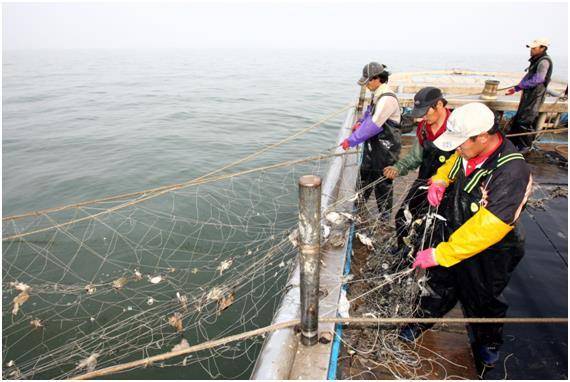 인천 옹진군 연평도 앞바다에서 어민들이 꽃게 조업을 하고 있다. 인천시 제공