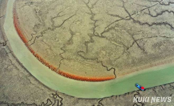 물빠진 신안갯벌의 패턴과 물고랑 떠 있는 한척의 낚시배가 조화롭다.