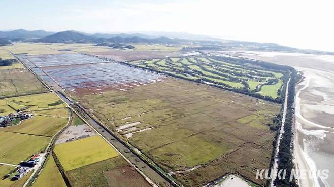 고창갯벌의 옛 염전터 전경, ‘세계자연유산보전본부’ 예정부지이다. 정부는 해양생태계의 중요성과 갯녹음의 심각성을 알리기 위해 2013년부터 매년 5월 10일을 ‘바다식목일’로 기념하며 바다에 해조류를 심고 있다.