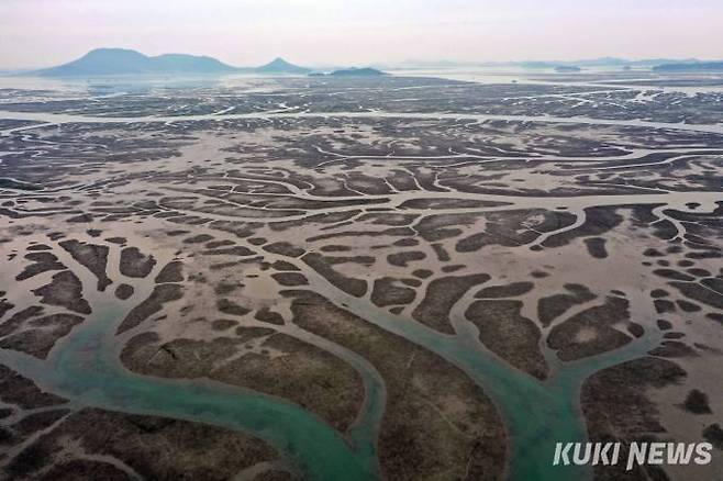 간조시 신안갯벌 전경, 다양한 나목의 형태가 마치 자연이 그려낸 한폭의 그림이다.