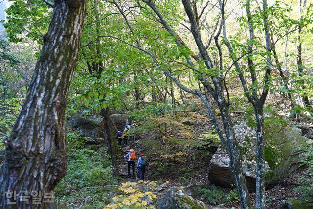 13일 등반객들이 설악산 흘림골 탐방로를 걷고 있다.