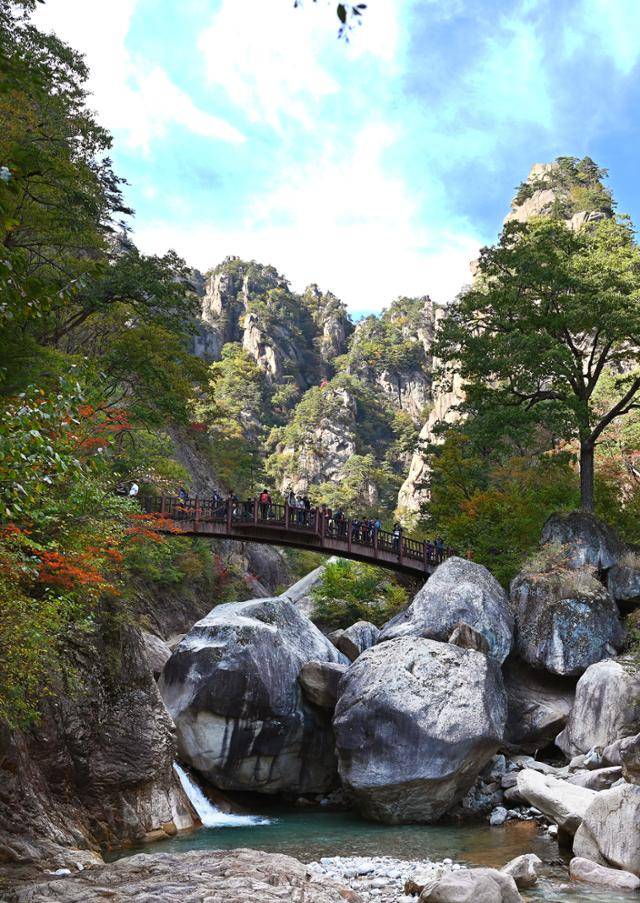 13일 흘림골 아래 주전골은 아직 본격적으로 단풍이 들지 않은 상황이었다. 이번 주 절정에 이를 것으로 보인다. 오색약수 탐방지원센터에서 시작하는 용소폭포 코스의 주전골은 탐방 인원 제한이 없다.