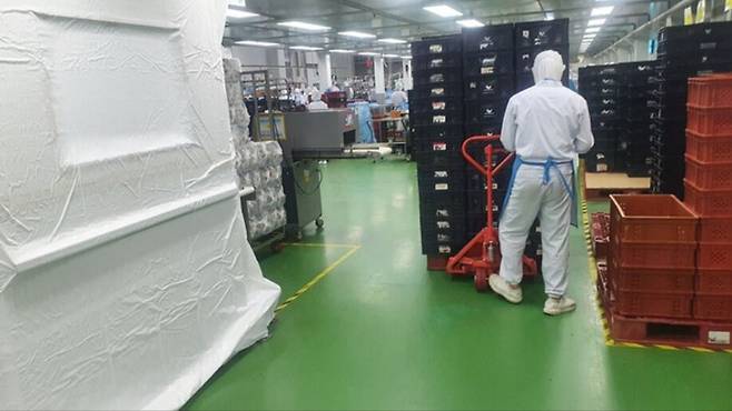 지난 15일 끼임 사망 사고가 발생한 경기도 평택의 SPL 공장에서 사고 발생 다음날 노동자들이 일을 하고 있다. 사고가 발생한 기계는 흰 천으로 가려진 상태다. 전국화학섬유식품산업노동조합 제공