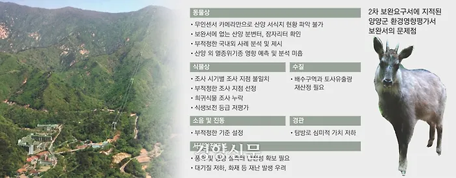 설악산 케이블카 조감도와 환경영향평가 보완서의 문제점 및 산양의 모습. 양양군 제공.