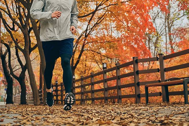 게티이미지뱅크