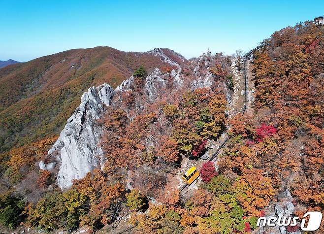 경남 함양군 병곡면 대봉산휴양밸리. (함양군 김용만 제공) 2022.10.19/뉴스1