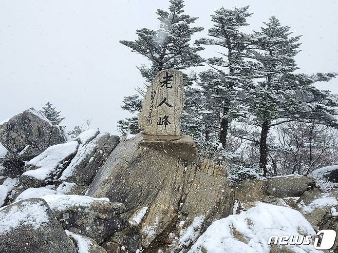 강원북부산지에 대설주의보가 발효된 24일 강원 오대산 노인봉(1388m) 인근에 눈이 쌓여 있다. 오대산국립공원사무소에 따르면 오대산 인근 아침 최저기온은 영하 2.9도까지 떨어졌으며, 이날 오후 1시 기준 오대산의 적설량은 약 5㎝ 정도다. (오대산국립공원사무소 제공) 2022.10.24/뉴스1