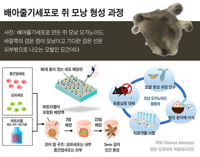 그래픽=이은현