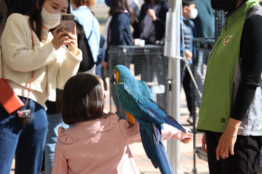 서산버드랜드 조류 관찰 체험. 사진=서산버드렌드사업소 제공