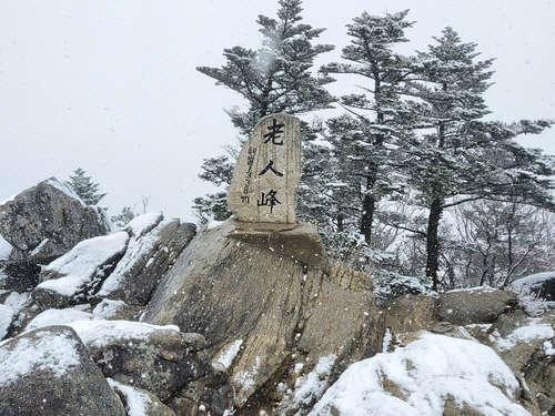 ▲ 오대산 노인봉 첫눈[오대산국립공원사무소 제공]