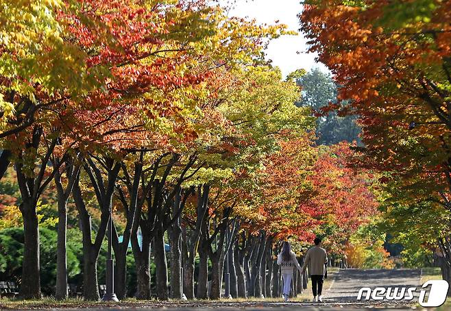 완연한 가을 날씨를 보인 10월20일 울산 남구 문수체육공원을 찾은 시민들이 울긋불긋 물들어가는 단풍을 보며 가을 분위기를 즐기고 있다. 2022.10.20/뉴스1 ⓒ News1 윤일지 기자