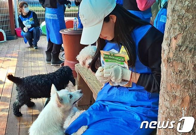 내추럴발란스 블루엔젤봉사단이 23일 경기 용인시 한 동물보호소에서 봉사활동을 하고 있다. ⓒ 뉴스1 최서윤 기자