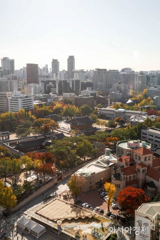 완연한 가을 날씨가 이어지고 있는 25일 서울 중구 정동 일대가 단풍으로 물들고 있다./강진형 기자aymsdream@