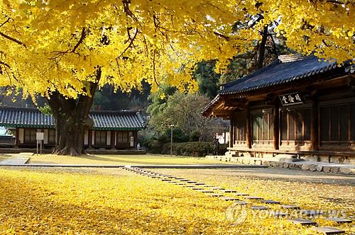 전주시 한옥마을의 향교 [연합뉴스 자료사진]