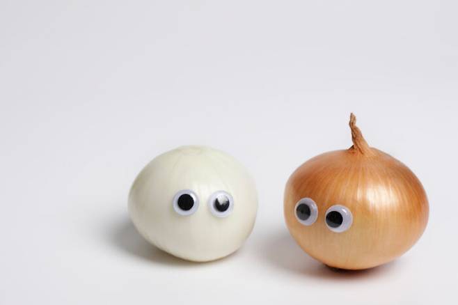 항산화 물질이 풍부한 양파는 여러 가지 건강 효능을 갖고 있다. [사진=클립아트코리아]