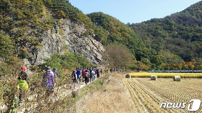 속리산 둘레길 걷기축제 모습.( 속리산둘레길 제공)