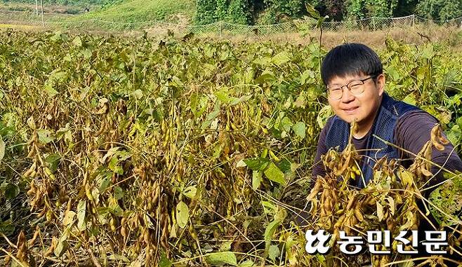 충남 서천의 청년농 전대근씨가 수확을 앞둔 국산콩 품종인 ‘청자 5호’ 생육상태를 살펴보고 있다.