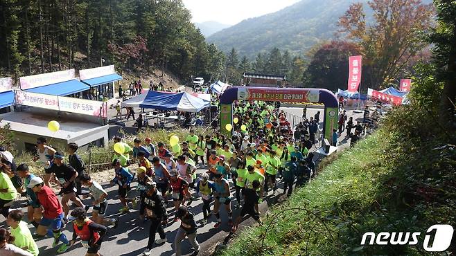 2019년 보은속리산 단풍 마라톤대회 모습. (보은군 제공)