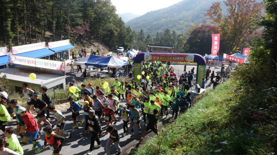 지난해 보은속리산단풍마라톤대회 모습. 사진=보은군 제공