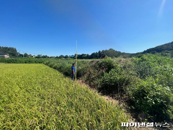 김포시 불법성토 사례. 사진제공=김포시