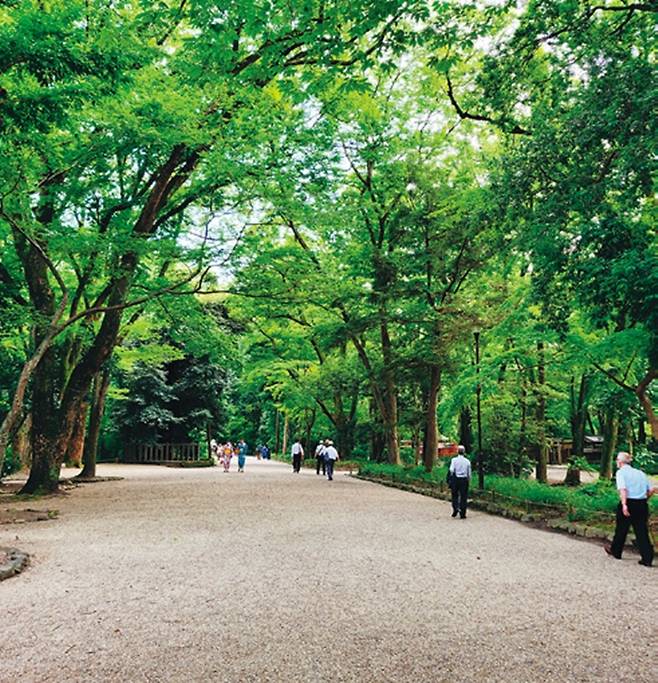 시모가모신사를 둘러싼 ‘다다스노모리’. 국가사적인 이 숲은 교토 시민이 즐겨찾는 나들이 장소이다.