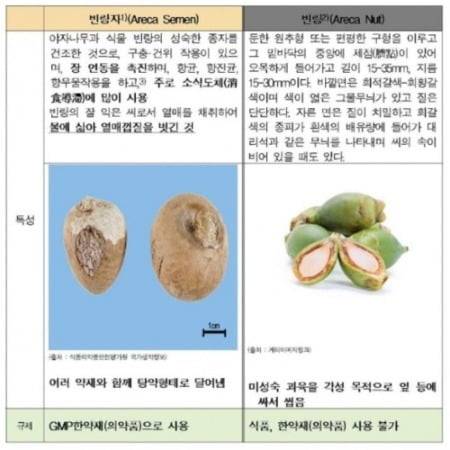 빈랑과 빈랑자 비교. /사진=대한한의사협회