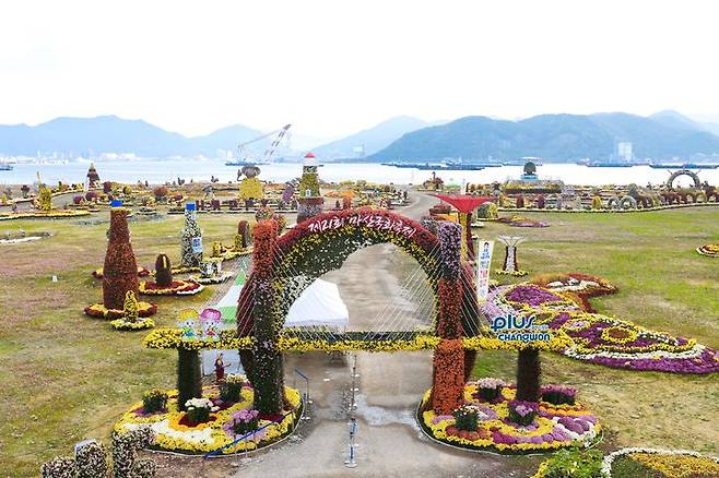 지난해 마산국화축제 모습. /뉴시스