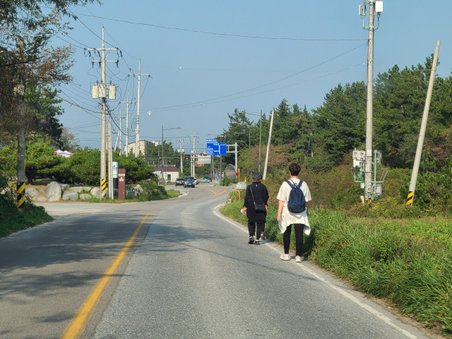 ▲ 강릉 사천진 ~ 연곡해변을 오가는 해안도로에 버스 정류장이 전무해 시민·관광객들의 이동에 불편을 겪고 있다.