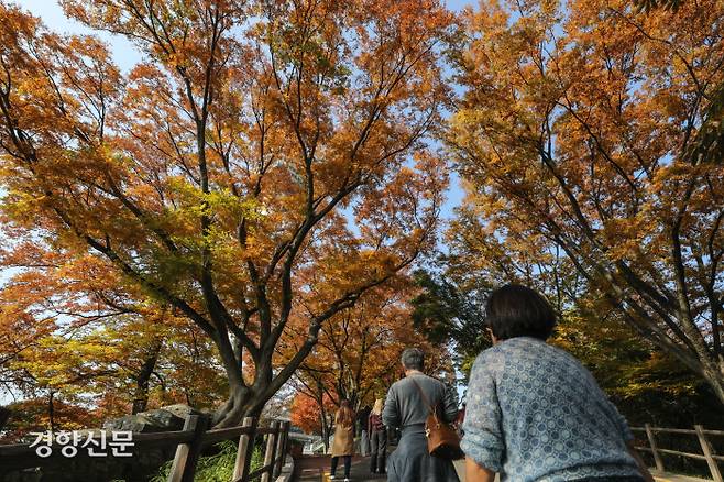 28일 서울 중구 남산에서 시민들이 붉게 물들어가는 단풍을 배경으로 깊어가는 가을을 즐기고 있다. 성동훈 기자