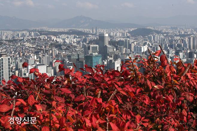 완연한 가을 날씨를 보인 28일 서울 중구 남산의 붉은 단풍 뒤로 도심이 보이고 있다. 성동훈 기자