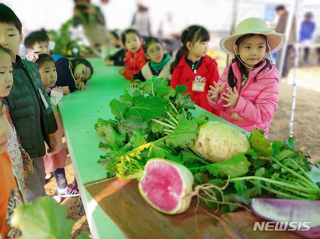 [성남=뉴시스]성남시민농원서 11월 1~4일까지 무 수확 체험 행사가 열린다