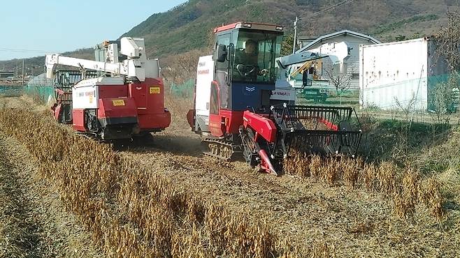 [인천=뉴시스] 인천 강화군 한 콩 농가에서 기계화 영농지원을 받아 수확을 하고있다. (사진=강화군 제공) *재판매 및 DB 금지