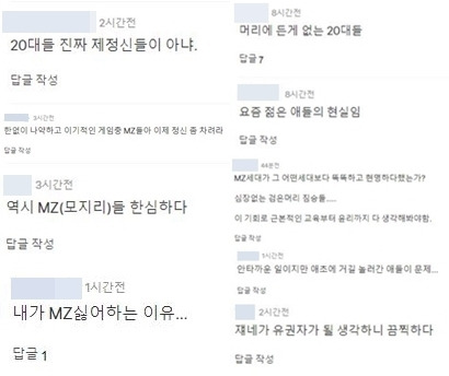 30일 이태원 사고 소식을 전하는 기사에는 MZ세대들을 향한 비난의 댓글이 쏟아졌다. (포털사이트 댓글 갈무리)