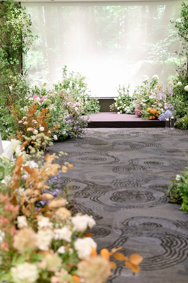 사진 : 이로 스타일