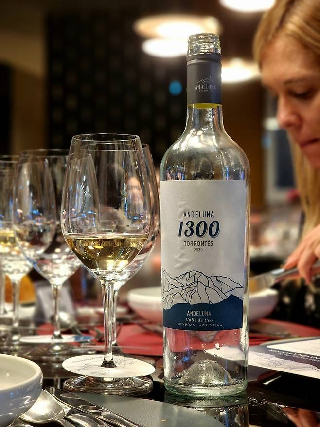 안델루나 토론테스.