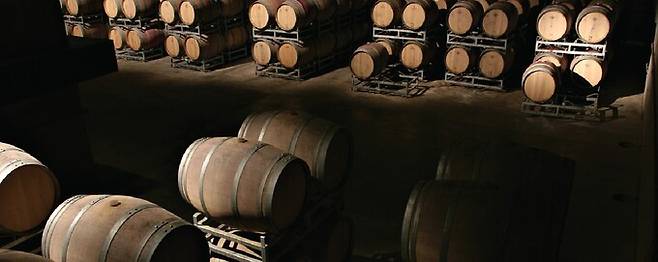 안델루나 셀러. 홈페이지