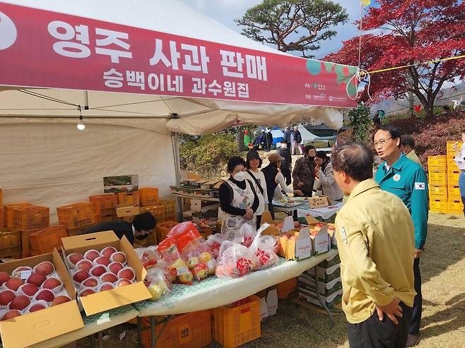 영주사과축제 행사장 찾아 안전점검하는 박남서 영주시장 [영주시 제공. 재판매 및 DB 금지]