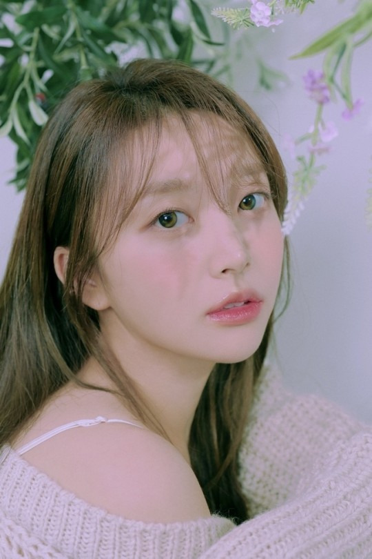 펀치