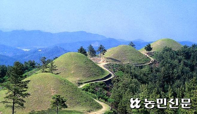 지산리 고분군.