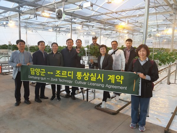 담양군이 최근 조르디사와 ‘죽향’, ‘메리퀸’ 에 대해 통상실시 계약을 체결했다. 사진제공 | 담양군