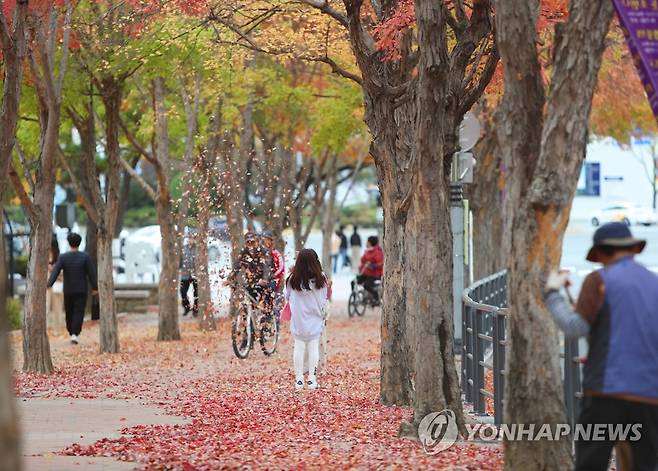 '아직은 단풍' (대구=연합뉴스) 박세진 기자 = 30일 대구의 낮 기온이 17도를 웃돌며 가을 날씨를 보인 가운데 수성못을 찾은 시민들이 단풍과 함께 주말을 보내고 있다. 2022.10.30 psjpsj@yna.co.kr