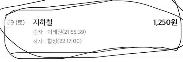 ▲ 토끼 머리띠 남성이 사고가 났을 때 그 자리에 있지 않았다며 공개한 지하철 탑승 내역.sns켭쳐