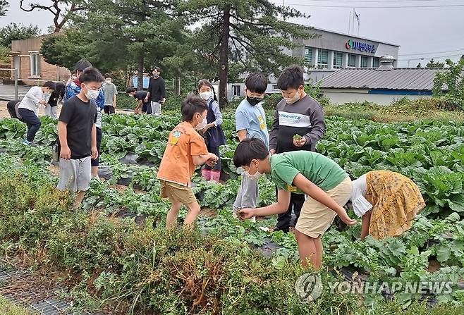 농촌에 유학 온 서울 학생들 [전북도교육청 제공. 재판매 및 DB 금지]